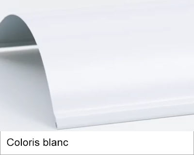 Coloris blanc